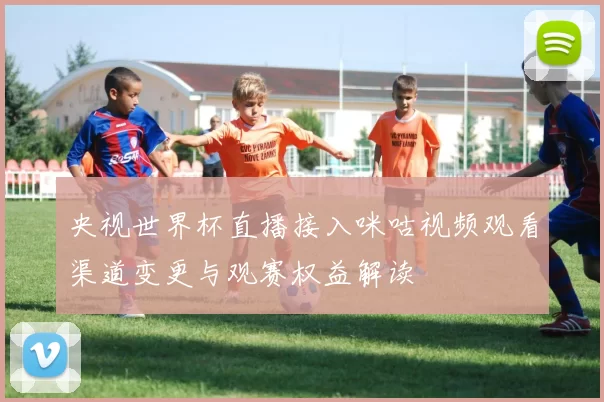 央视世界杯直播接入咪咕视频观看渠道变更与观赛权益解读