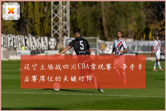 辽宁主场战四川CBA常规赛，争夺季后赛席位的关键对阵