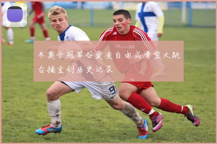 冬奥会冠军谷爱凌自由式滑雪大跳台摘金创历史记录