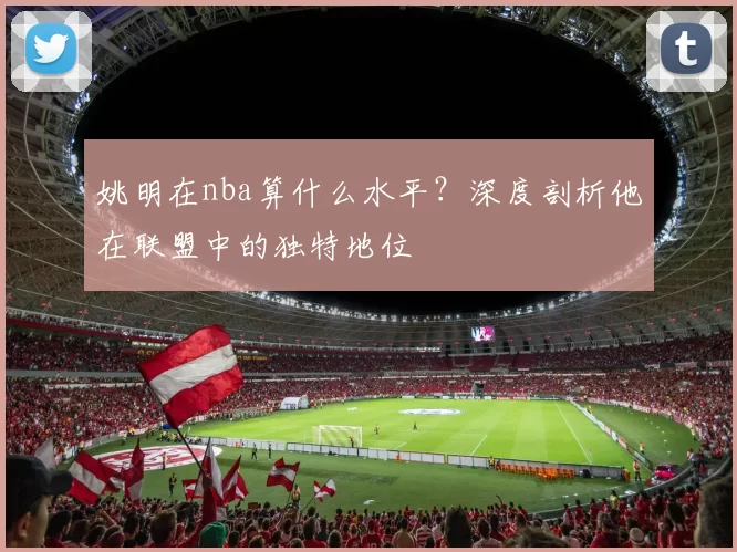 姚明在nba算什么水平？深度剖析他在联盟中的独特地位