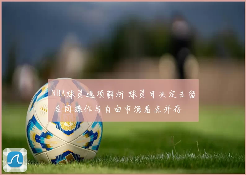 NBA球员选项解析 球员可决定去留 合同操作与自由市场看点并存