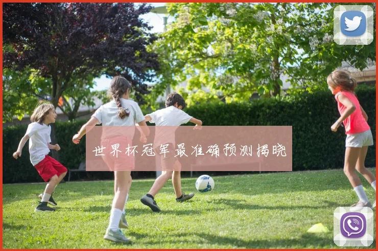 世界杯冠军最准确预测揭晓